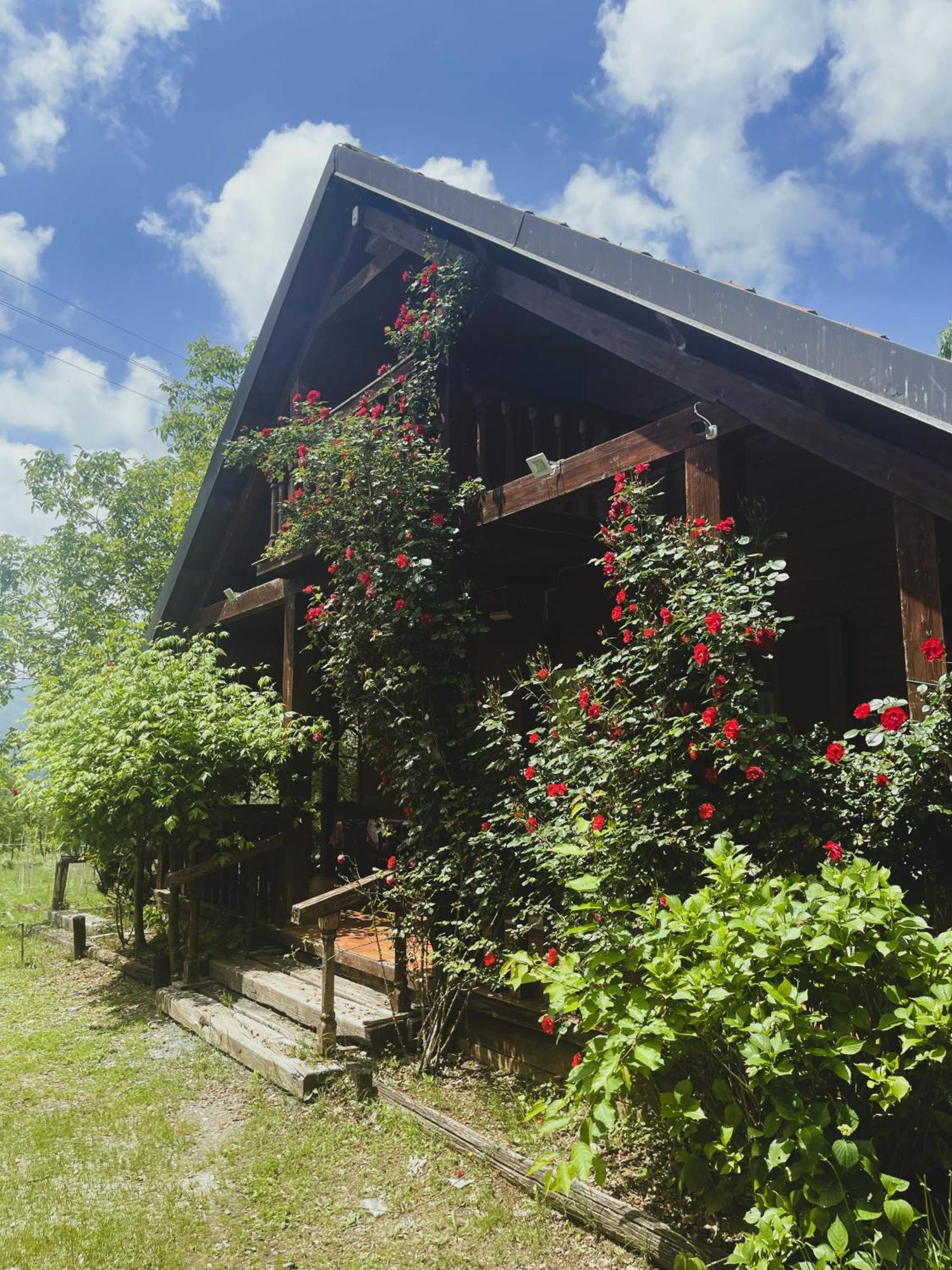 Agriturismo La Locanda Del Parco Morano Calabro Exterior photo